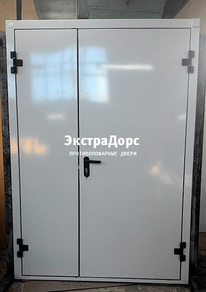 Противопожарная дверь EI 30 3 типа двупольная белая в Видном  купить