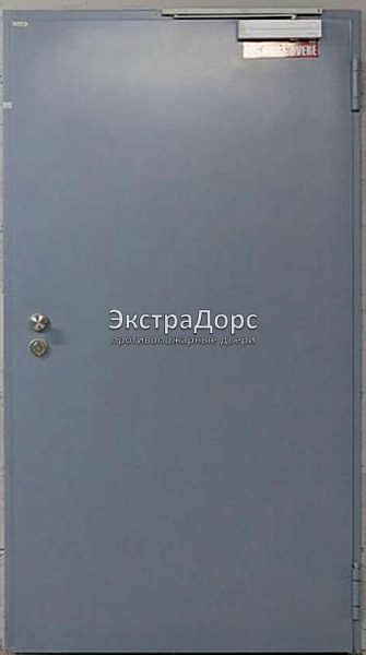 Противопожарная дверь однопольная дымогазонепроницаемая металлик в Видном  купить