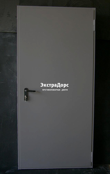 Дверь металлическая противопожарная EI 60 ДПМ 2 типа серая в Видном  купить